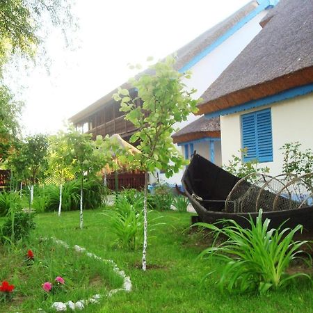 Casa Dintre Salcii Hotel Uzlina Zewnętrze zdjęcie