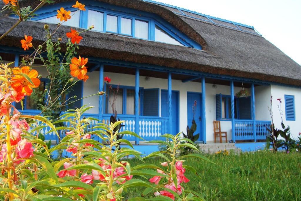Casa Dintre Salcii Hotel Uzlina Zewnętrze zdjęcie