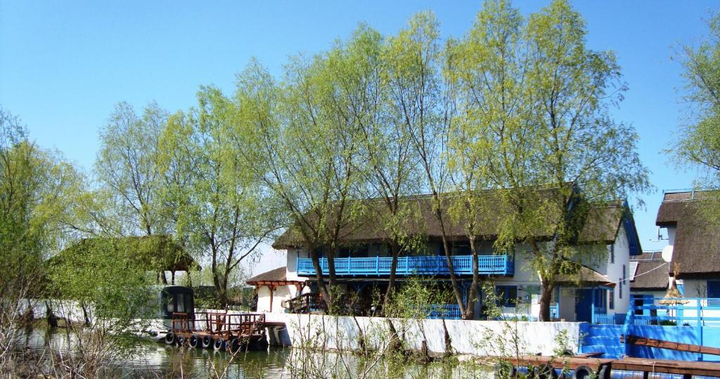 Casa Dintre Salcii Hotel Uzlina Zewnętrze zdjęcie